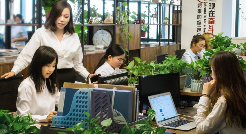 厦门某宝科技有限公司人力资源建设